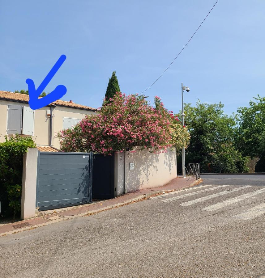Chez Nous Dans Notre Petit Jardin Lägenhet Montpellier Exteriör bild