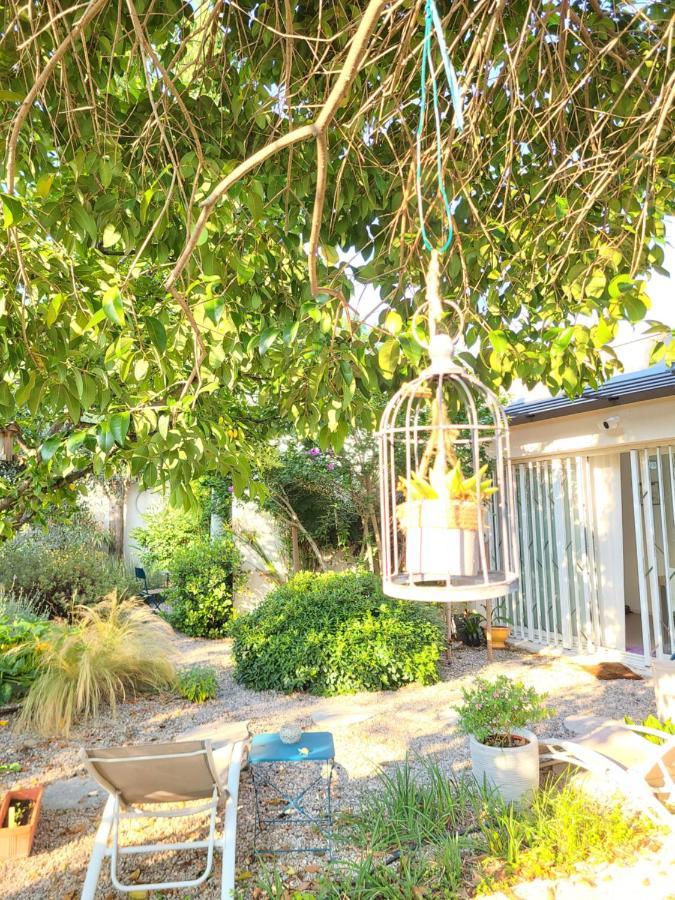 Chez Nous Dans Notre Petit Jardin Lägenhet Montpellier Exteriör bild