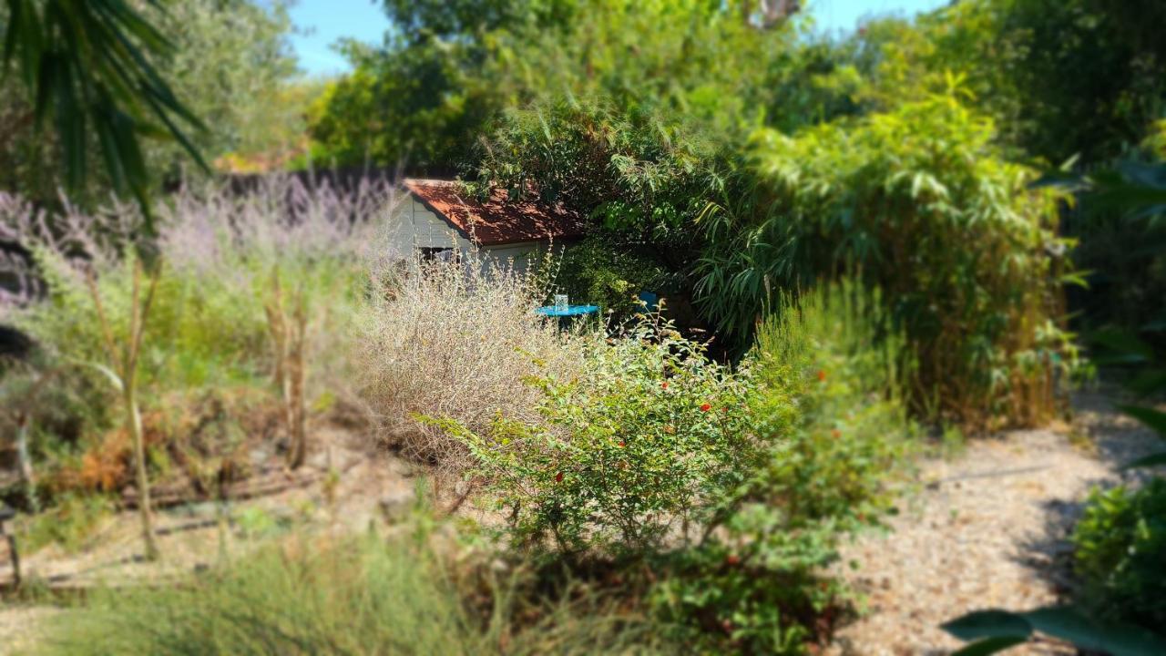 Chez Nous Dans Notre Petit Jardin Lägenhet Montpellier Exteriör bild